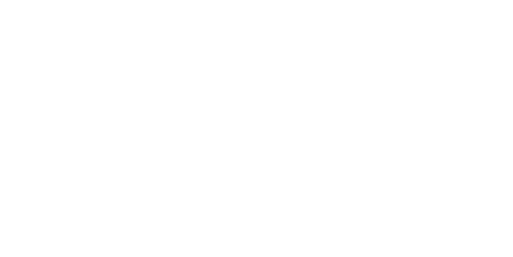 SUMMITIZE Logo, weiß SUMMITIZE Logo, weiß